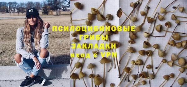 соль курить ск Алексеевка