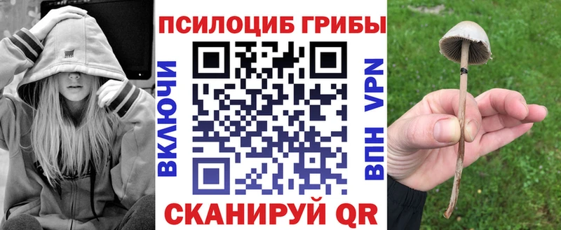 Псилоцибиновые грибы мицелий  где купить наркоту  Карасук 