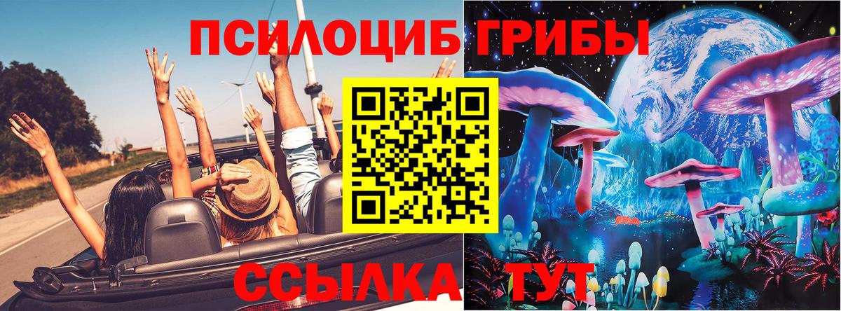 Галлюциногенные грибы мицелий  Галлюциногенные грибы GOLDEN TEACHER  Карасук  Вход с VPN 